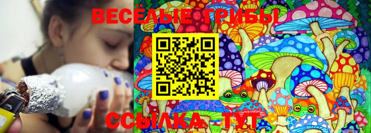 Псилоцибиновые грибы Cubensis Магнитогорск